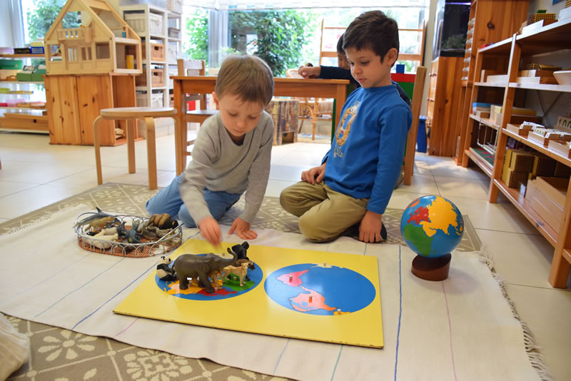 International Montessori School