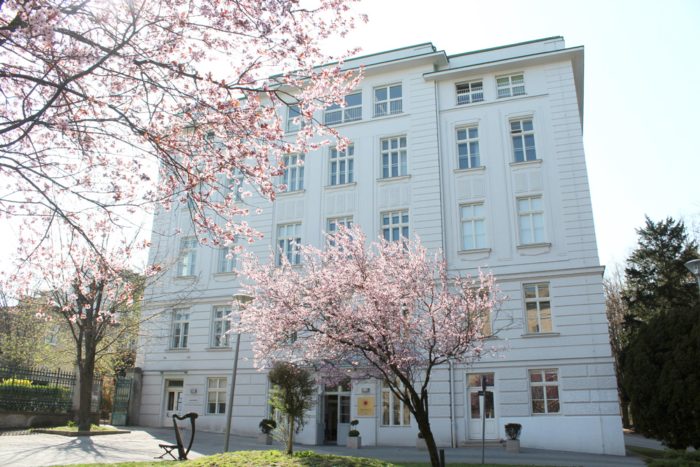 AMADEUS International School Vienna